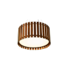 ARQ1079